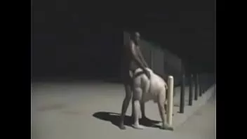 play Bbw blanca follada en un campo de béisbol público